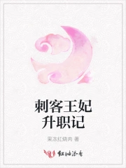 刺客王妃升职记