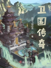 卫国传奇