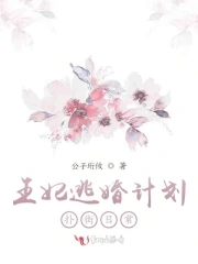 王妃逃婚计划扑街日常