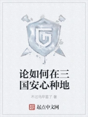 论如何在三国安心种地