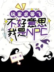 玩家求带飞，不好意思我是NPC