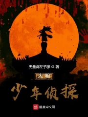 大明少年侦探