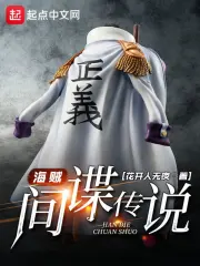 海贼:间谍传说