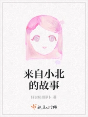 来自小北的故事