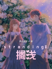 stranding:搁浅