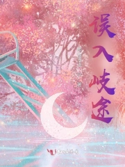 误入岐途