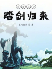 陈情令之踏剑归来
