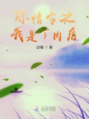 陈情令之我是个肉盾