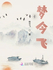 梦今飞