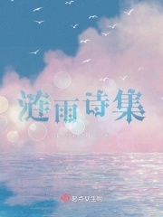 涟雨诗集