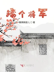 矮个将军