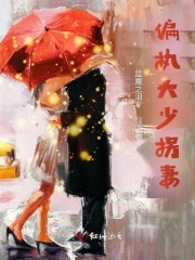 偏执大少拐妻