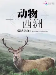 动物西洲