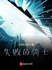 失败的骑士