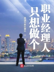 只想做个职业经理人