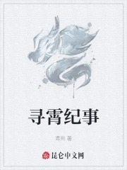 寻霄纪事