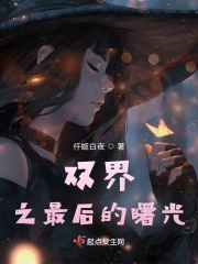 双界之最后的曙光