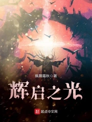 辉启之光