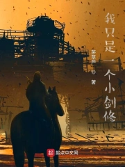 我只是一个小剑修