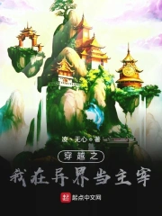 穿越之成为主宰却要封印修为