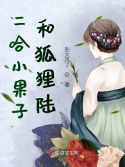 二哈小果子和狐狸陆