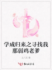 学成归来之寻找我那弱鸡老爹