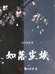 如落尘埃
