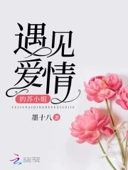 遇见爱情的苏小姐