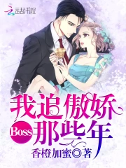 我追傲娇Boss那些年