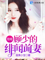 隐婚,顾少的绯闻前妻