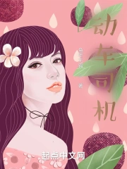 动车司机