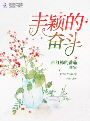 丰颖的奋斗