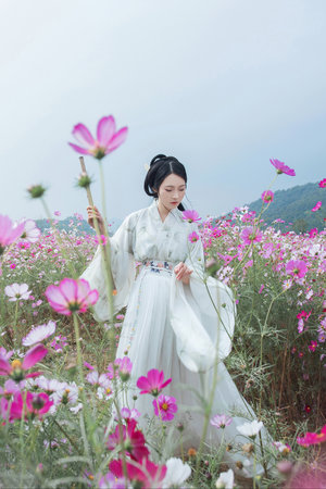 阴山箓