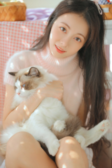 建设之龙