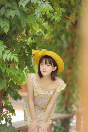 情至盛夏,不负年华