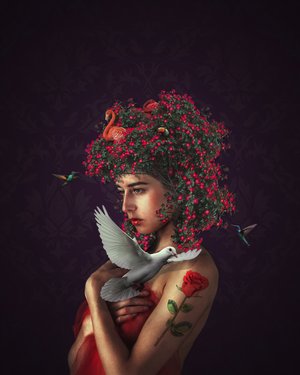 伪女主的修仙日常